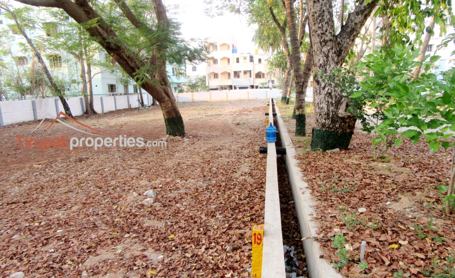 TUDA & RERA Approved #GatedCommunity East & West Facing #PlotsforSale Near Padmavathi Kalyanamandapam, #Tirupati